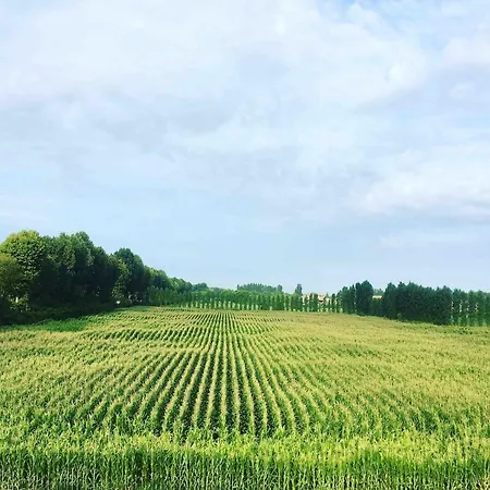 Residenza Tiglio - Pool & Relax *