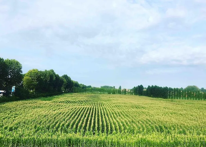 Residenza Tiglio - Pool & Relax *